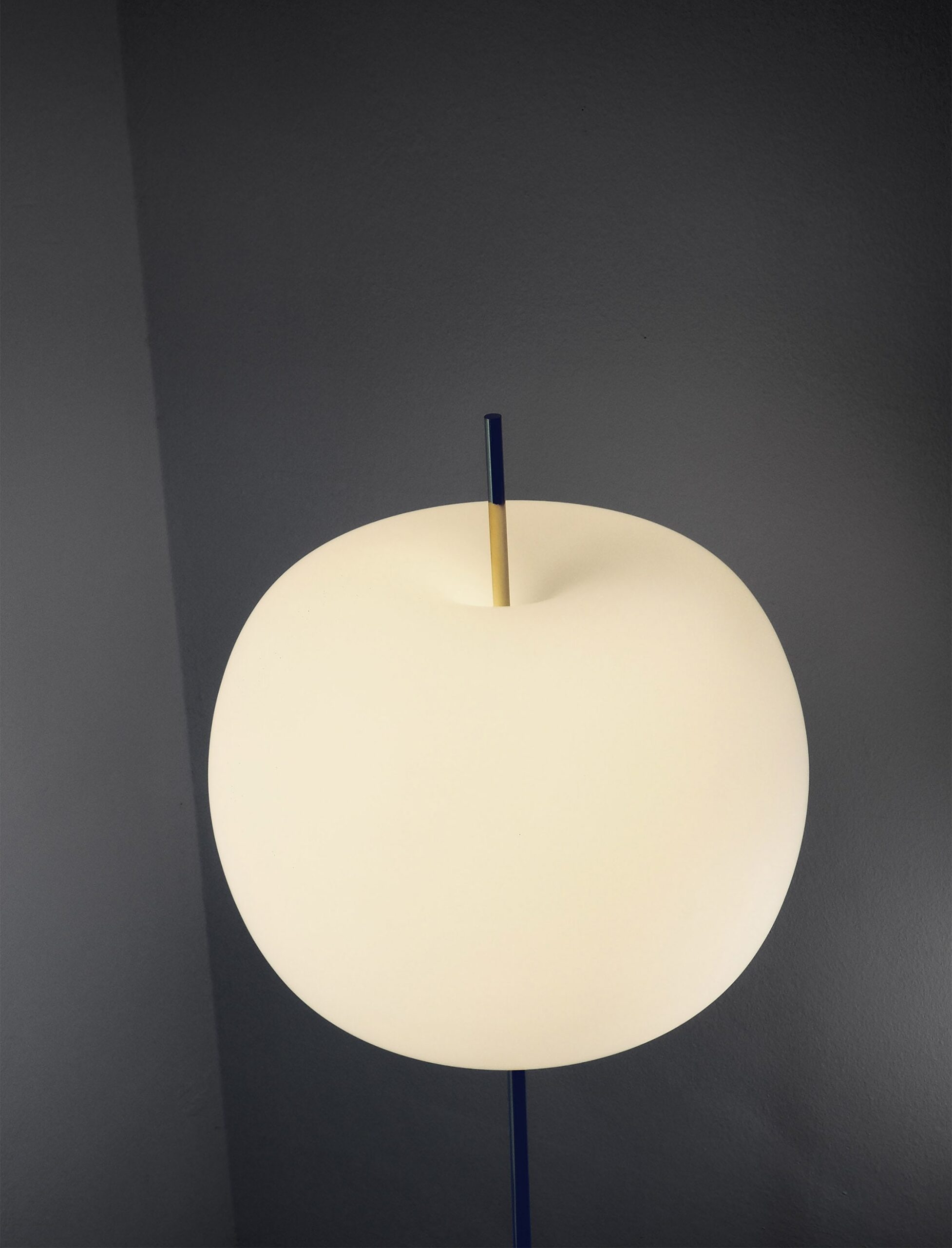 Kushi XL floor - Main image